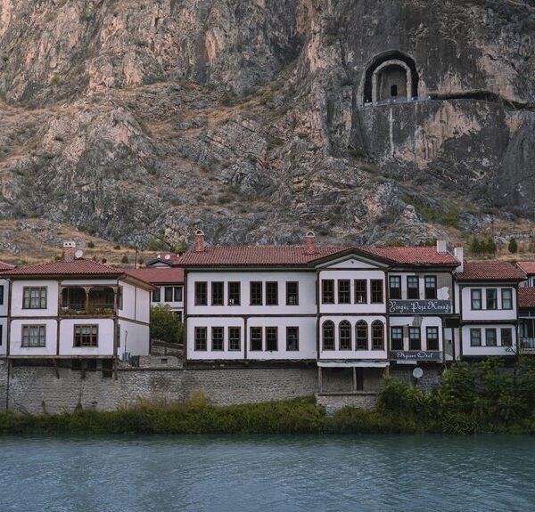 analytical benchmark study results