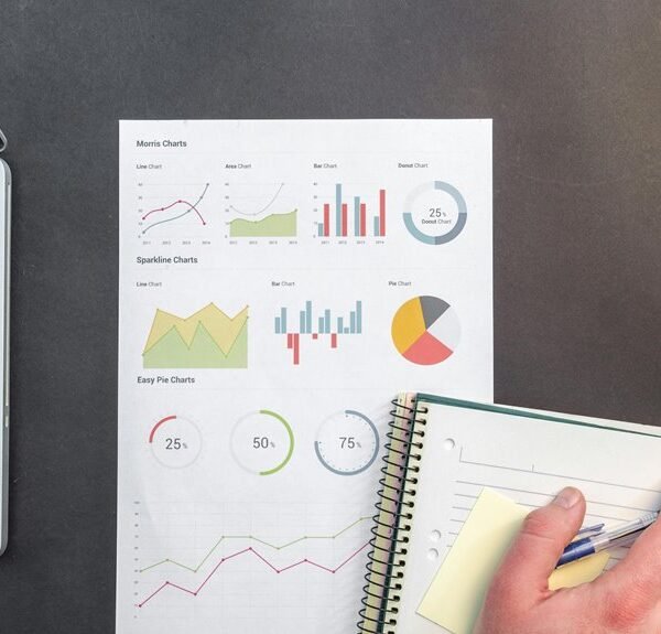 organizational data report generated