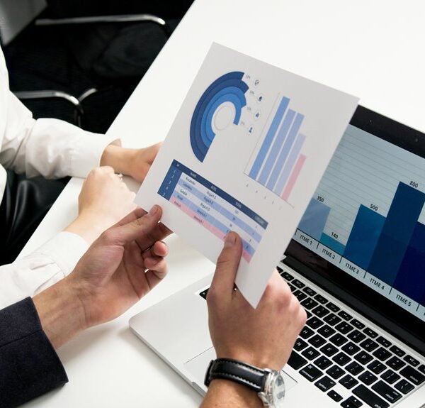 strategic report on identifiers