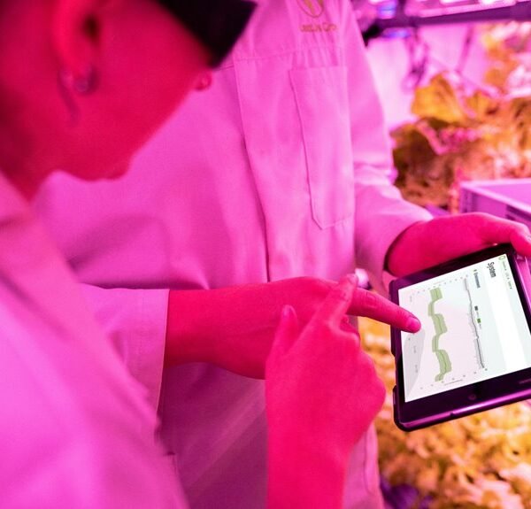 digital growth enhancement tools